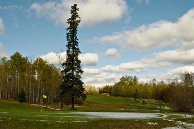 Golf course 6.jpg