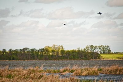 Wetlands, North Dakota