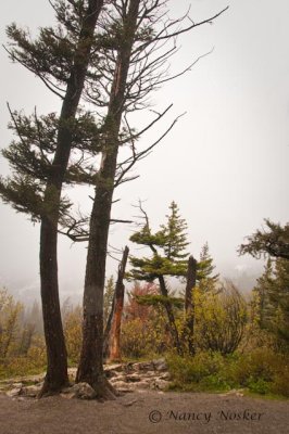 Glacier National Park in the spring