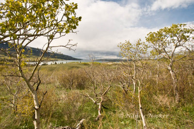 From campground at St Mary