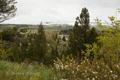 g1/36/263036/3/128694361.MPUklo6x.jpg