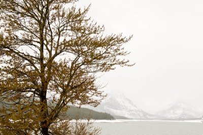 Many Glacier road