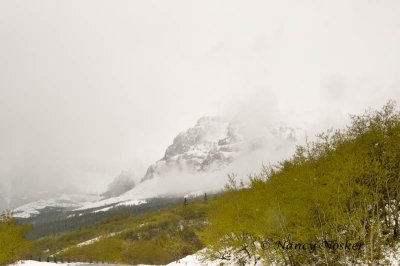 Many Glacier Rd