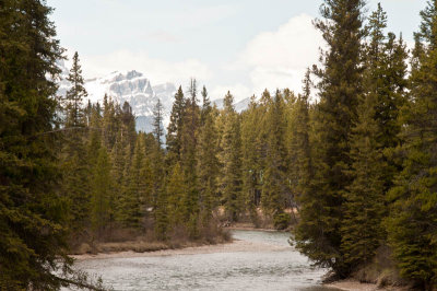 Bow River from Lake Louise Village bridge