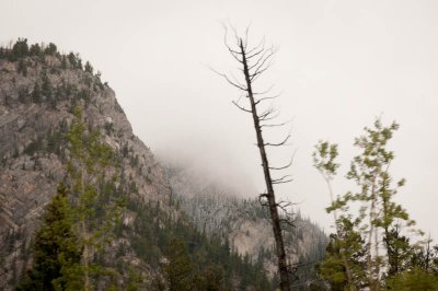 Banff National Park