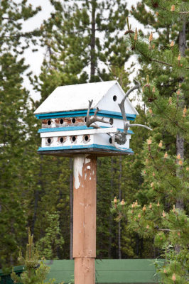 A well-built bird house