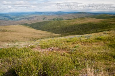The top of the world