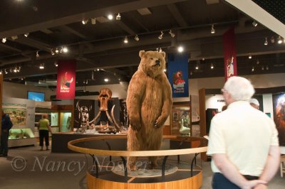 The Gallery of Alaska