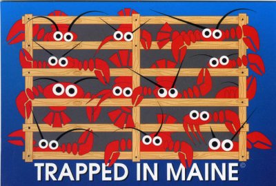 Maine Lobsters