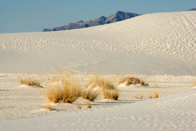 White Sands NM  2