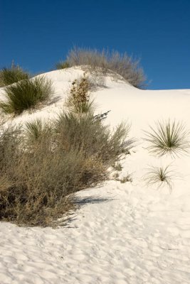 White Sands National Monument