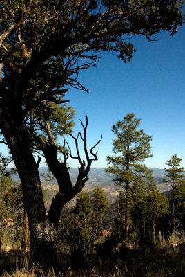 Gila Cliff Dwellings National Monument