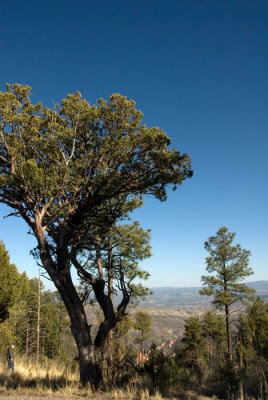Gila Cliff Dwellings 2