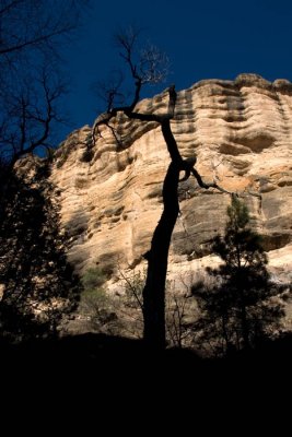 Gila Cliff Dwellings 4