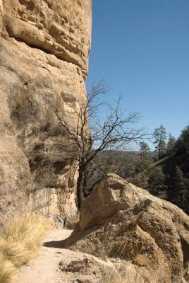 Gila Cliff Dwellings 14