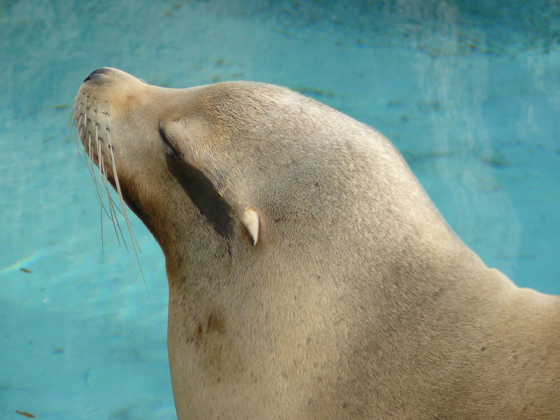 P1020325.JPG