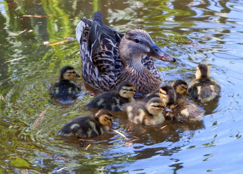 Family Outing