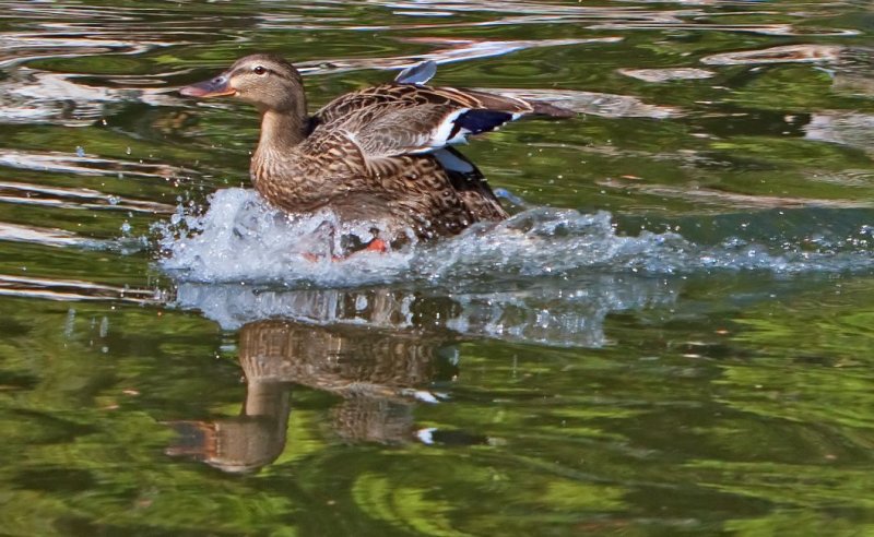 Smooth Landing