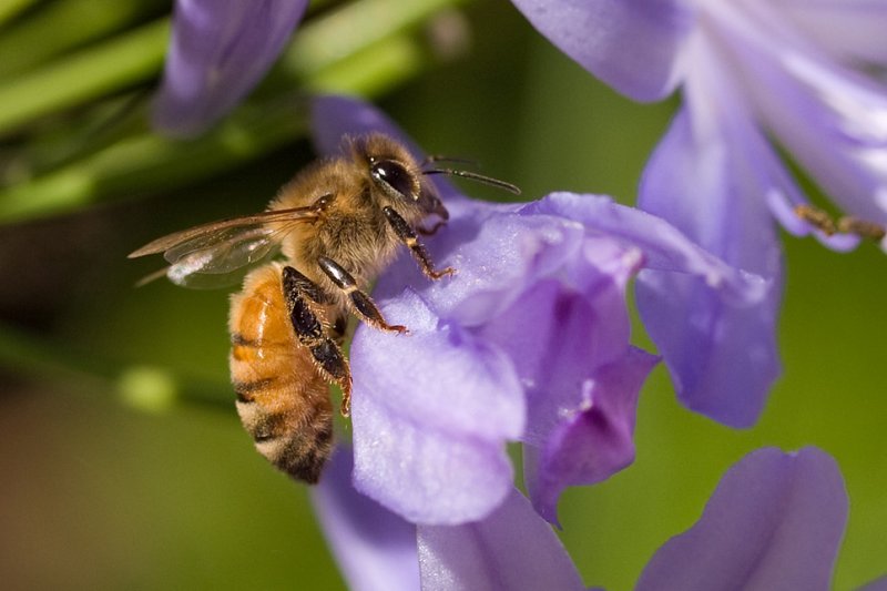 6th Place<br>Garden Worker<br>by Ed Lindquist