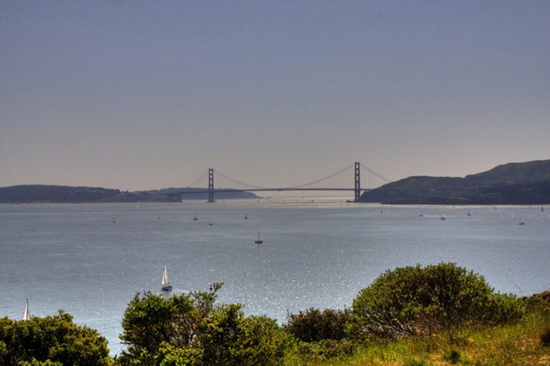Golden Gate
