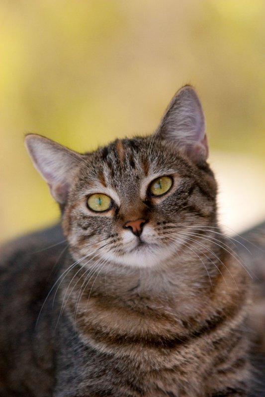 I am ready for my closeup.