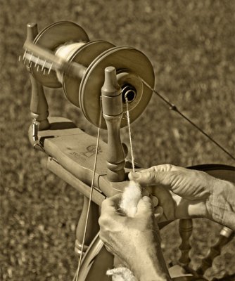 3rd Place Spinning Wool by Larry
