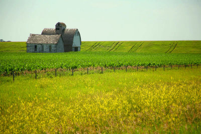 MInnesota Farmhouse
