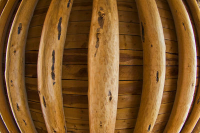One Man's Ceiling