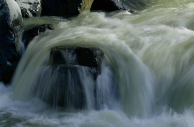 Granite Falls:  Dog in the water?