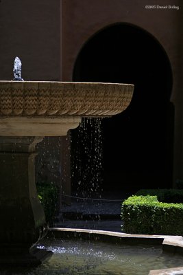 Fountain