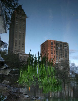 Still Life With Buildings