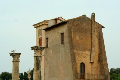 Door, Windows and Things That Fly (The Palatine Hill, Rome)