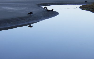 Dawn