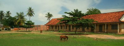 Toy Pony Plays in School Yard Bog in Central Cambodia