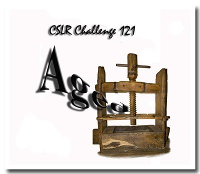 CSLR Challenge 121- Aged