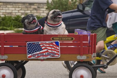 Yippee! We're In A Parade!