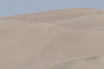 Sliding The Sand Dunes