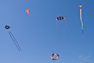 A Party In The Sky
