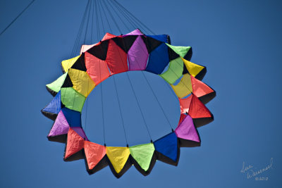 The Spinner