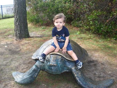 Jack D rides a turtle