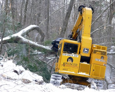 Tracked Feller Buncher