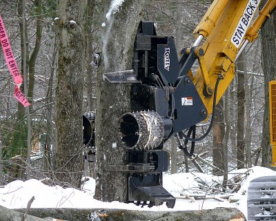 Tracked Feller Buncher