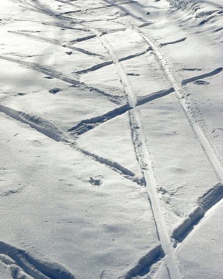 Windblown XC Trails Reclaimed