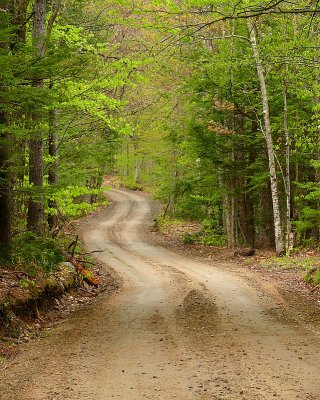 Winding Country Road