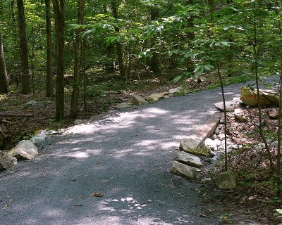 Connector Trail