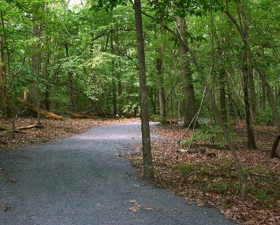 Connector Trail