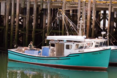 Campobello Island, May 2009