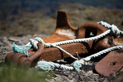 Campobello Island, May 2009