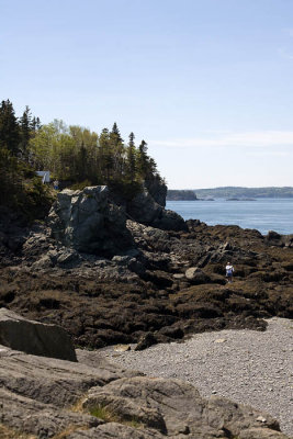 Campobello Island, May 2009