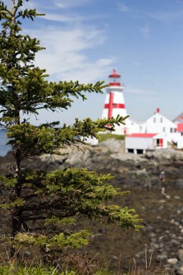 Campobello Island, May 2009